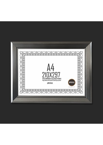 Vega Diploma Sertifika Çerçevesi