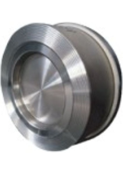 1433 Paslanmaz Disko Çekvalf 316 Kalite Hassas Döküm