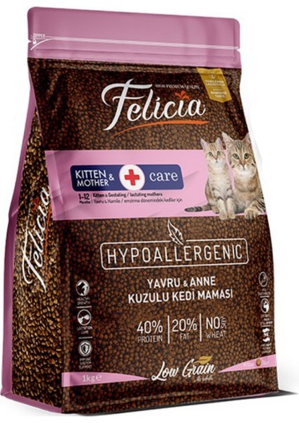 Kitten & Mother Az Tahıllı Kuzu Etli Yavru Kedi Maması 1 kg