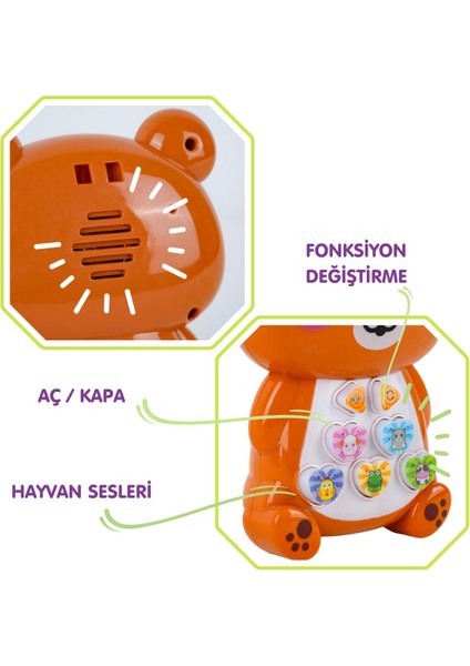 Elite Neşeli Ayı Bebek Oyuncağı | Işıklı Sesli Eğitici Oyuncak | 1 Adet