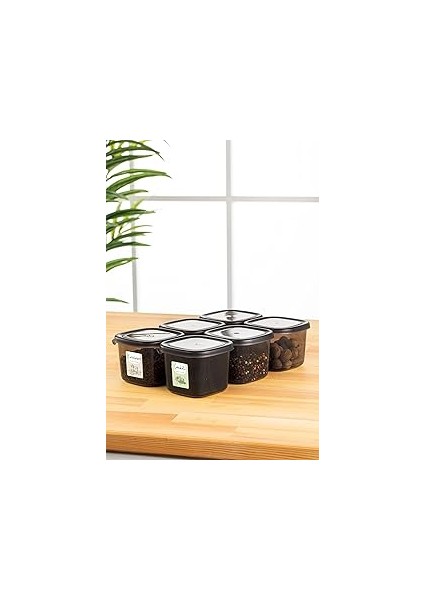 Renkli Etiketli Kaşıklı 6lı 0,55 Litre Peggy Baharatlık Saklama Kabı Antrasit