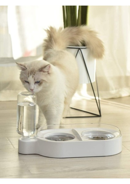 Kedi ve Köpek Otomatik Su Doldurmalı Mama ve Su Kabı modelleri