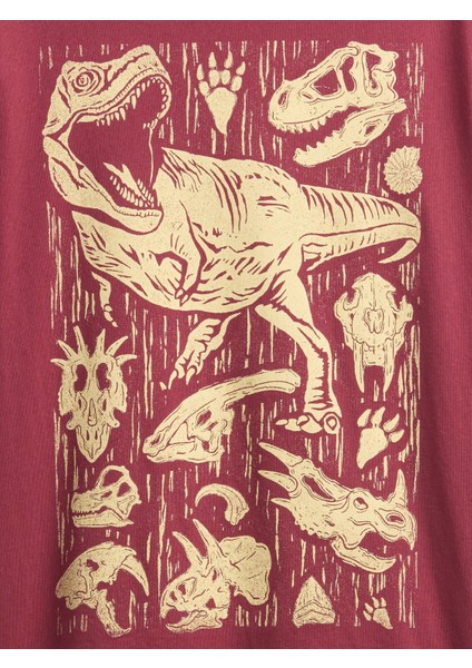 Erkek Çocuk Tuğla Kırmızısı Kids Grafik T-Shirt fiyatları