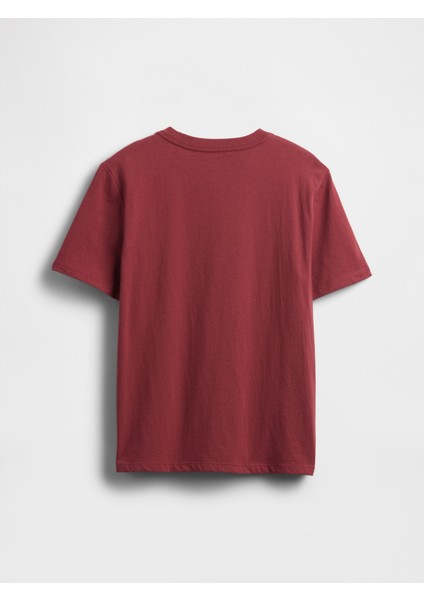 Erkek Çocuk Tuğla Kırmızısı Kids Grafik T-Shirt modelleri