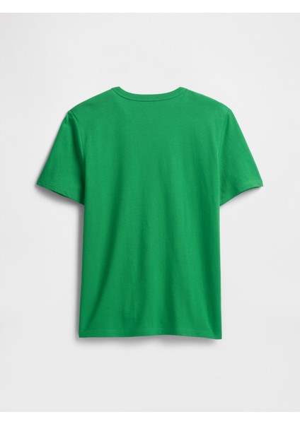 Erkek Çocuk Yeşil Grafik Baskılı T-Shirt modelleri