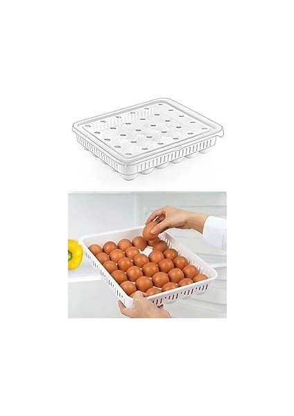 30'lu Kapaklı Yumurta Saklama Kabı, Akrilik Plastik 30'lu Yumurta Saklama Kabı, 30'lu Yumur
