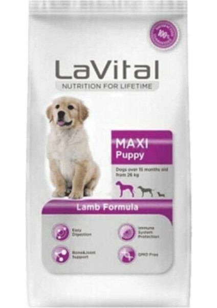 LaVital Maxi Puppy Kuzulu Köpek Maması 3kg
