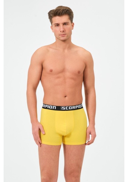 Erkekler İçin %95 Pamuk %5 Elastan Likralı Çok Renkli Boxer – 6’lı Özel Kutu modelleri