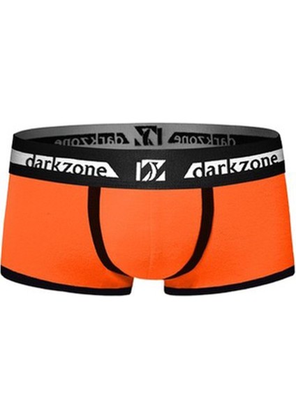 Turuncu Erkek Boxer