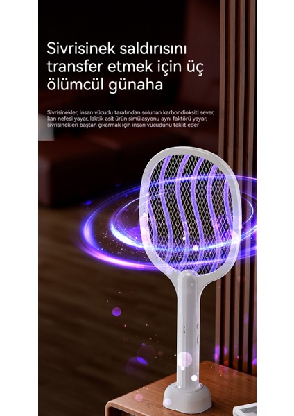 Ikisi Bir Arada Ritim (Yurt Dışından) modelleri