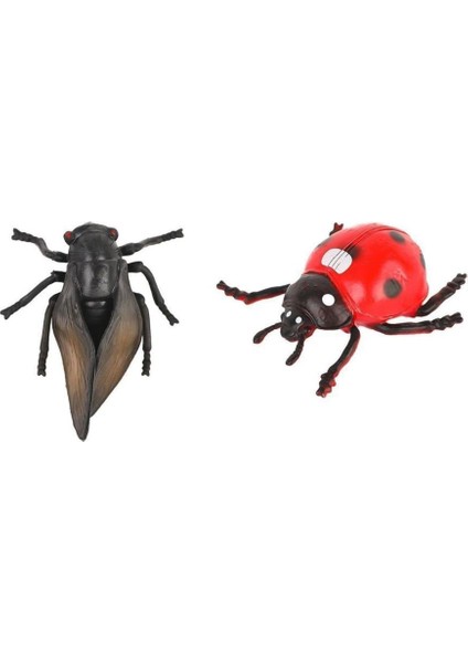 - Böcekler Poşette modelleri