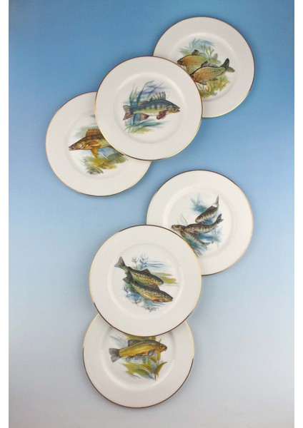 Fish Altın Yaldızlı 6 Kişilik Porselen Pasta Tabağı fiyatları