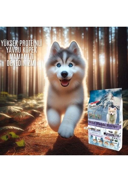 NEW PAN Kuzu Etli Pirinçli Yavru Köpek Maması 15 kg fiyatları