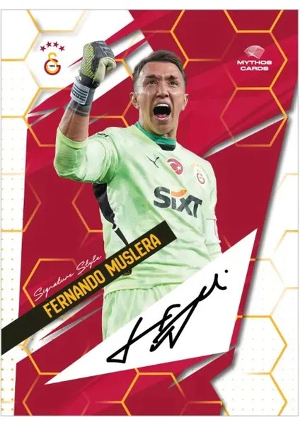 The Champions Edition: Galatasaray 2024-25 - Karton Kutu modelleri