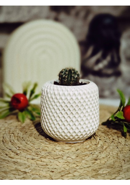 Minimal Örgü Desen Sukulent Saksısı 6,5cm x 7 cm