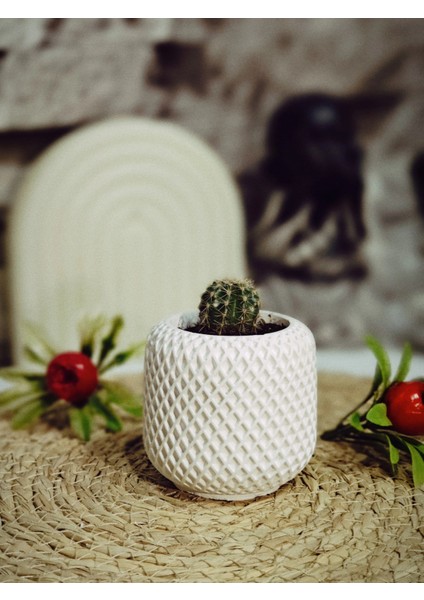 Minimal Örgü Desen Sukulent Saksısı 6,5cm x 7 cm