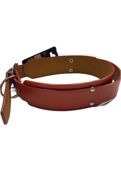 Turuncu Deri Köpek Boyun Tasması 4 cm x 49-57 cm