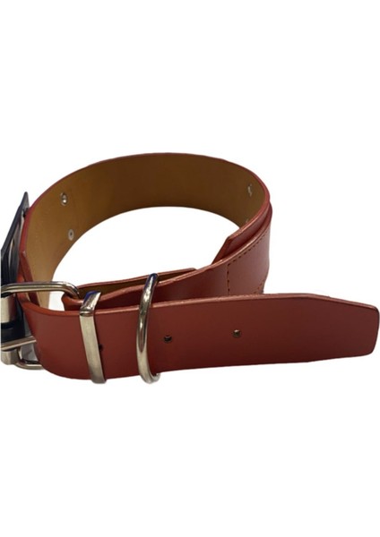 Turuncu Deri Köpek Boyun Tasması 4 cm x 49-57 cm