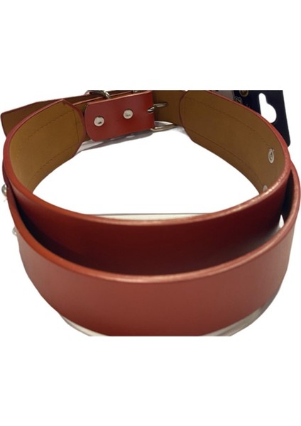 Turuncu Deri Köpek Boyun Tasması 4 cm x 49-57 cm