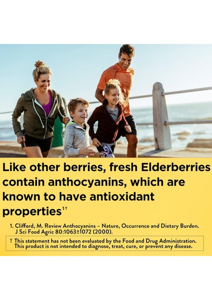 Elderberry 400 Mg C Vitamini ve Çinko 60 Kapsül fırsatları