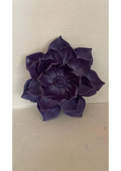 Dekoratif Duvar Çiçeği Lotus 2 Li Set modelleri