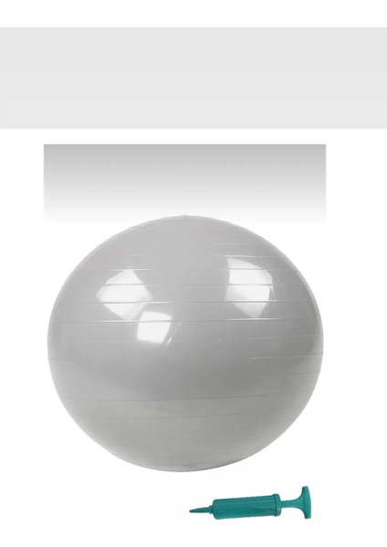 65 cm Pilates Topu Şişirme Pompalı Plates Denge Yoga Spor Egzersiz Topu Jimnastik Top fiyatları