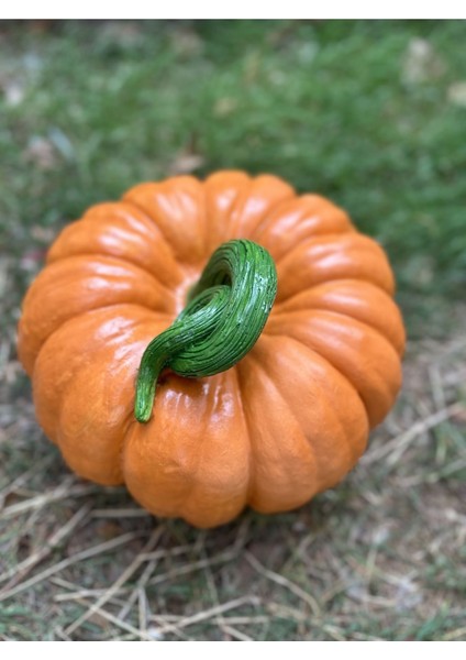 Bal Kabağı Heykeli , Dekoratif Büyük Boy Bal Kabağı Biblo 30CM