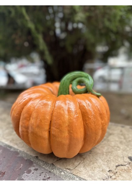 Bal Kabağı Heykeli , Dekoratif Büyük Boy Bal Kabağı Biblo 30CM fırsatları