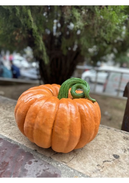 Bal Kabağı Heykeli , Dekoratif Büyük Boy Bal Kabağı Biblo 30CM indirimleri