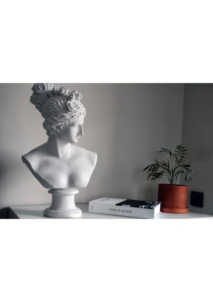 Diana Heykel Büst Diana Polyester Diana Büyük Boy 60CM