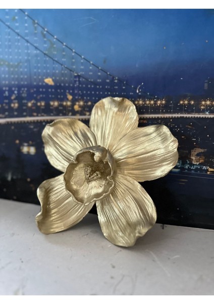 Orkide Duvar Çiçek 21X21CM