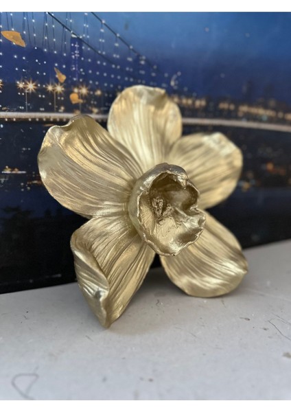 Orkide Duvar Çiçek 21X21CM modelleri