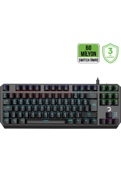 Bisistem Segotep-Bsf6-A Brave W1 Amd Ryzen 5 5600 64 GB Ddr4 Colorful Rtx 3050 6gb 1tb SSD Freedos Oyuncu Masaüstü Bilgisayarı + Full Set