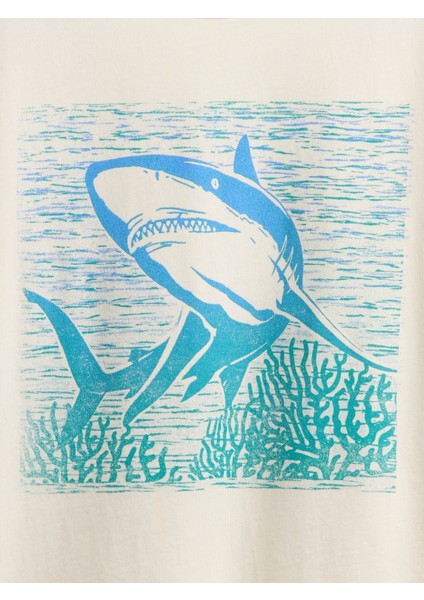 Erkek Çocuk Beyaz Kids Grafik T-Shirt fiyatları