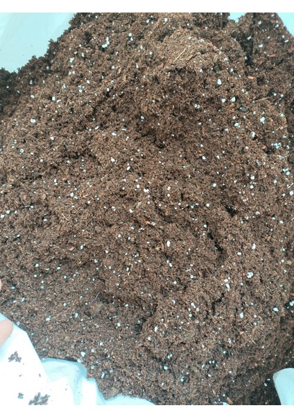 Bitki Toprağı (3 Litre) Ithal Torf-Iç-Dış Mekan-Perlit Katkılı