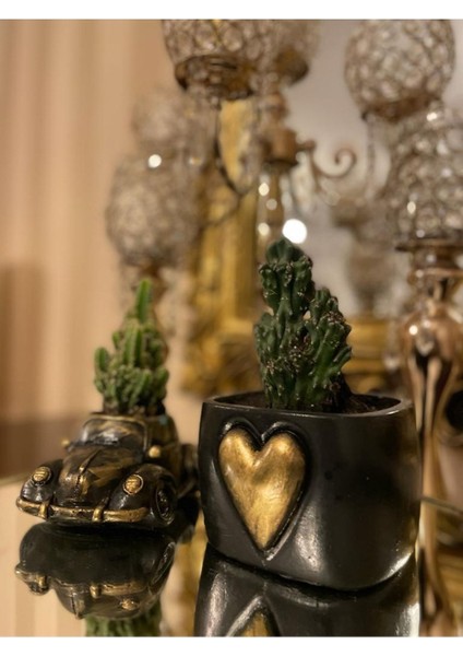 Araba ve Kalp Saksı Tasarım 2 Li fiyatları