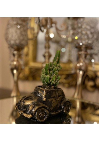 Araba ve Kalp Saksı Tasarım 2 Li modelleri