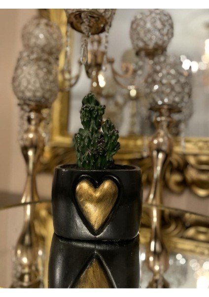 Araba ve Kalp Saksı Tasarım 2 Li fırsatları