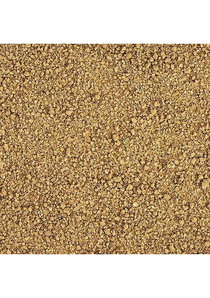 Sanital +Ketapang 100GR Kovadan Bölme