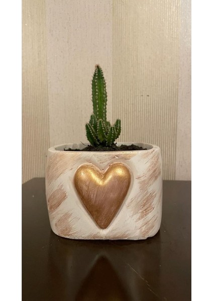 Dekoratif Kalpli Çiçekli Saksı fiyatları