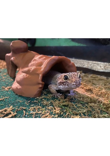 Sürüngenler Için Ağaç Kabuğu Saklanma Alanı | Kertenkele & Yılanlara 3D Teraryum Tünel Dekor fiyatları