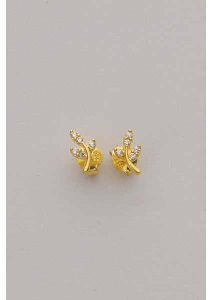 Yaprak Altın Kaplama Mini Gümüş Küpe 7373 fırsatları