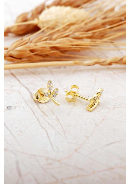 Yaprak Altın Kaplama Mini Gümüş Küpe 7373 indirimleri