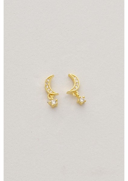 Taşlı Ay Altın Kaplama Mini Gümüş Küpe 7349 fırsatları