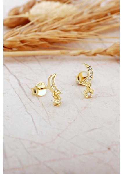 Taşlı Ay Altın Kaplama Mini Gümüş Küpe 7349 indirimleri