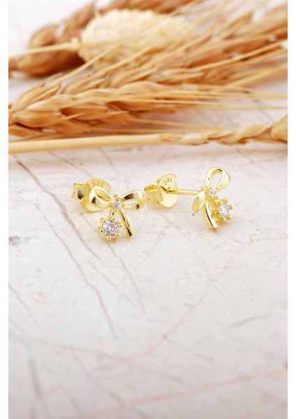 Taşlı Fiyonk Altın Kaplama Mini Gümüş Küpe 7371 indirimleri