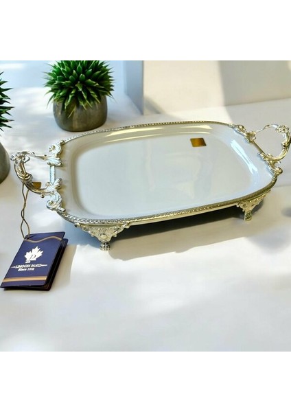 Sunum Tabağı Ayaklı Dikdörtgen 33X18 cm Gümüş WHS322
