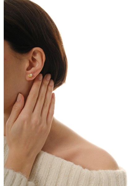 Incili Deniz Kabuğu Yıldızı Altın Kaplama Mini Gümüş Küpe 7366 fırsatları