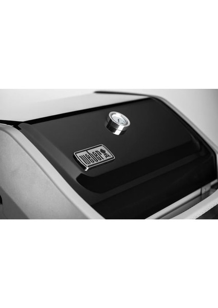 Spirit Iı E-310 Gbs Gas Grill