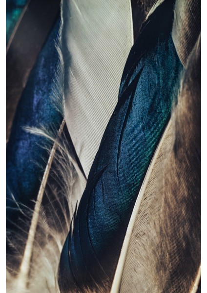 |gümüş-Lacivert Ortanca-Kanat Soyut Kombini |çerçeveli Cam Tablo 2li Dikey fiyatları